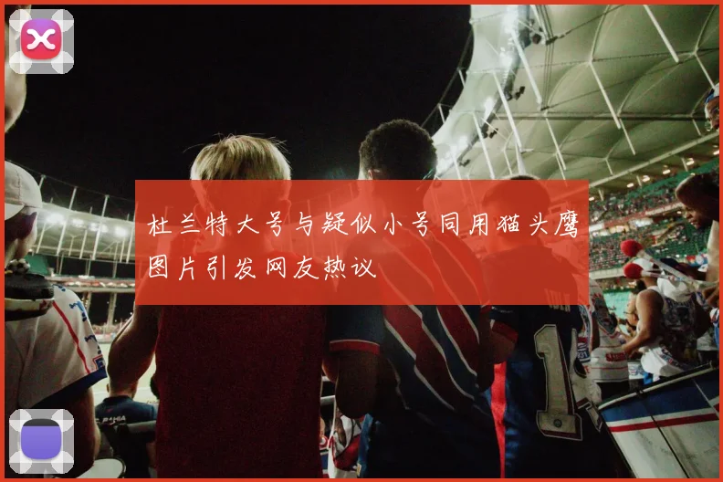 杜兰特大号与疑似小号同用猫头鹰图片引发网友热议