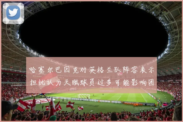 哈塞尔巴因克对英格兰队阵容表示担忧认为天赋球员过多可能影响团队合作