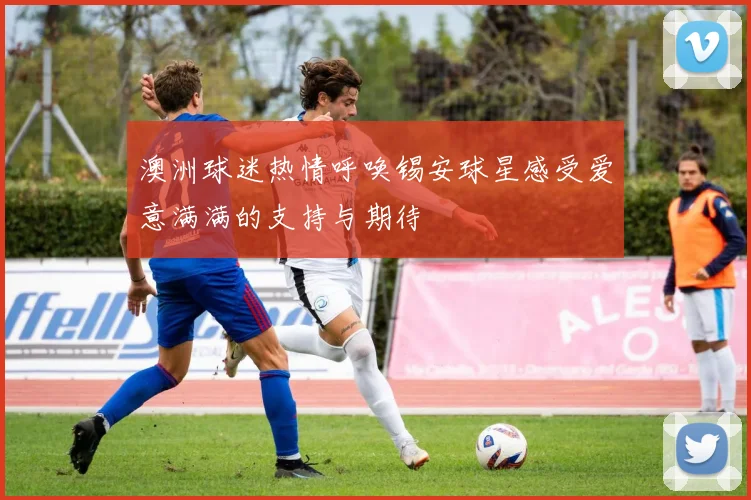 澳洲球迷热情呼唤锡安球星感受爱意满满的支持与期待