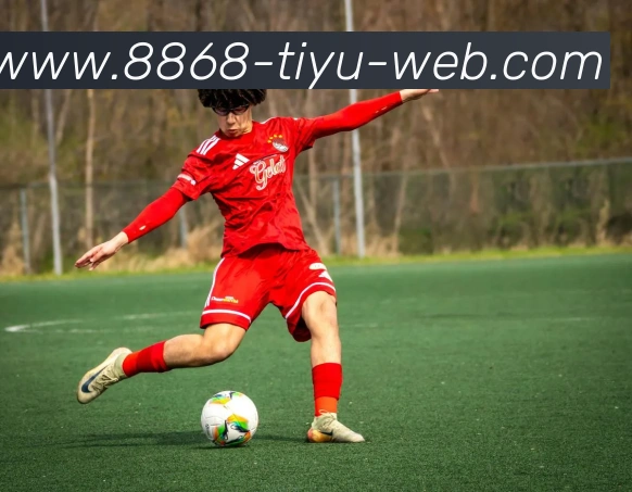 8868体育APP 封面图